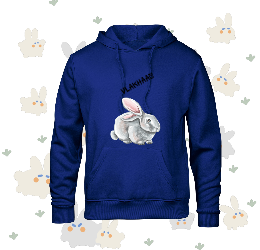 Kids Bunny Hoodie (C)