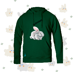 Kids Bunny Hoodie (C)