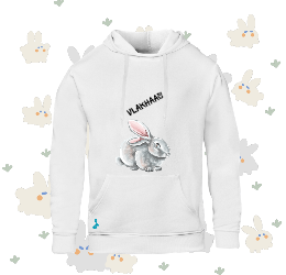 Kids Bunny Hoodie (C)